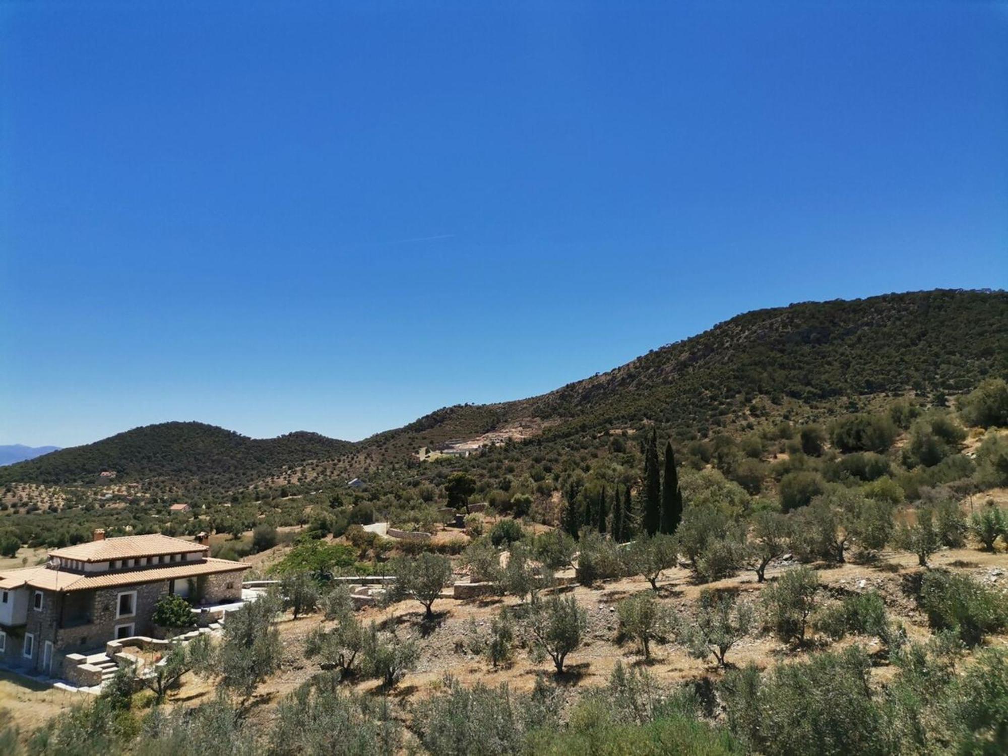 Saronic Citadel Seaside Villa Salamis Bagian luar foto